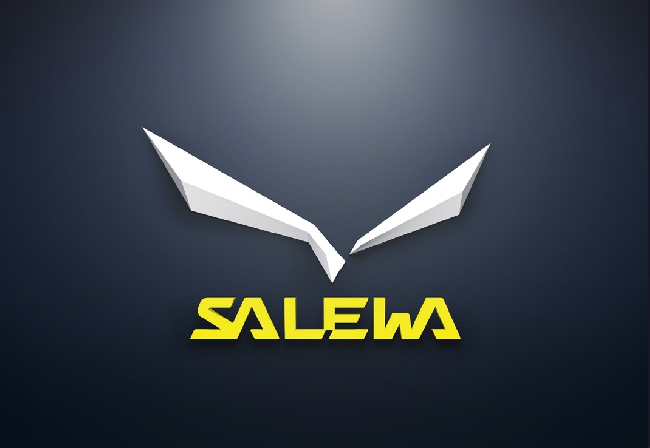  Новый логотип компании Salewa (вариация в 3D) 