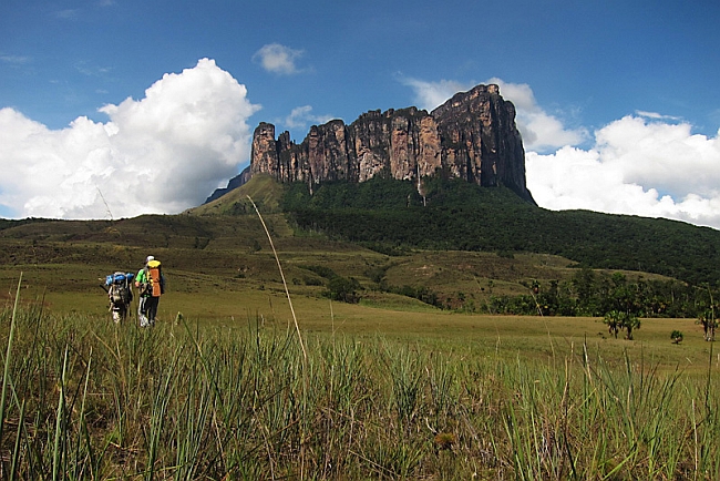 Miss Acopan (7b, 250 м), новый маршрут Luka Krajnc и Matic Obid на Acopan Tepui в Венесуэле