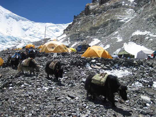 Украинская экспедиция на Эверест - 2012. Базовый лагерь установлен