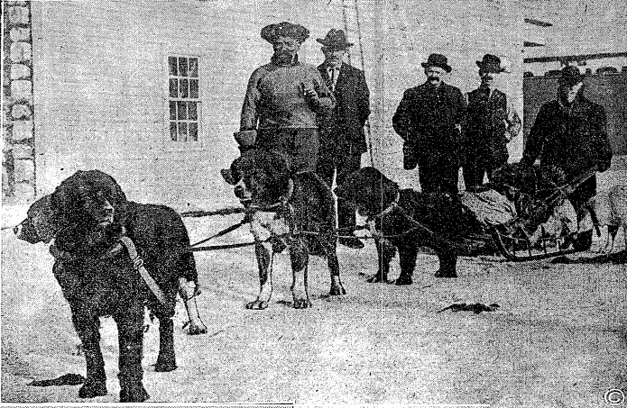 экспедиция "Кислое Тесто" (Sourdough expedition).  город Фэрбенкс, декабрь 1909 