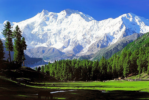 Нанга Парбат (Nanga Parbat 8126 м) 