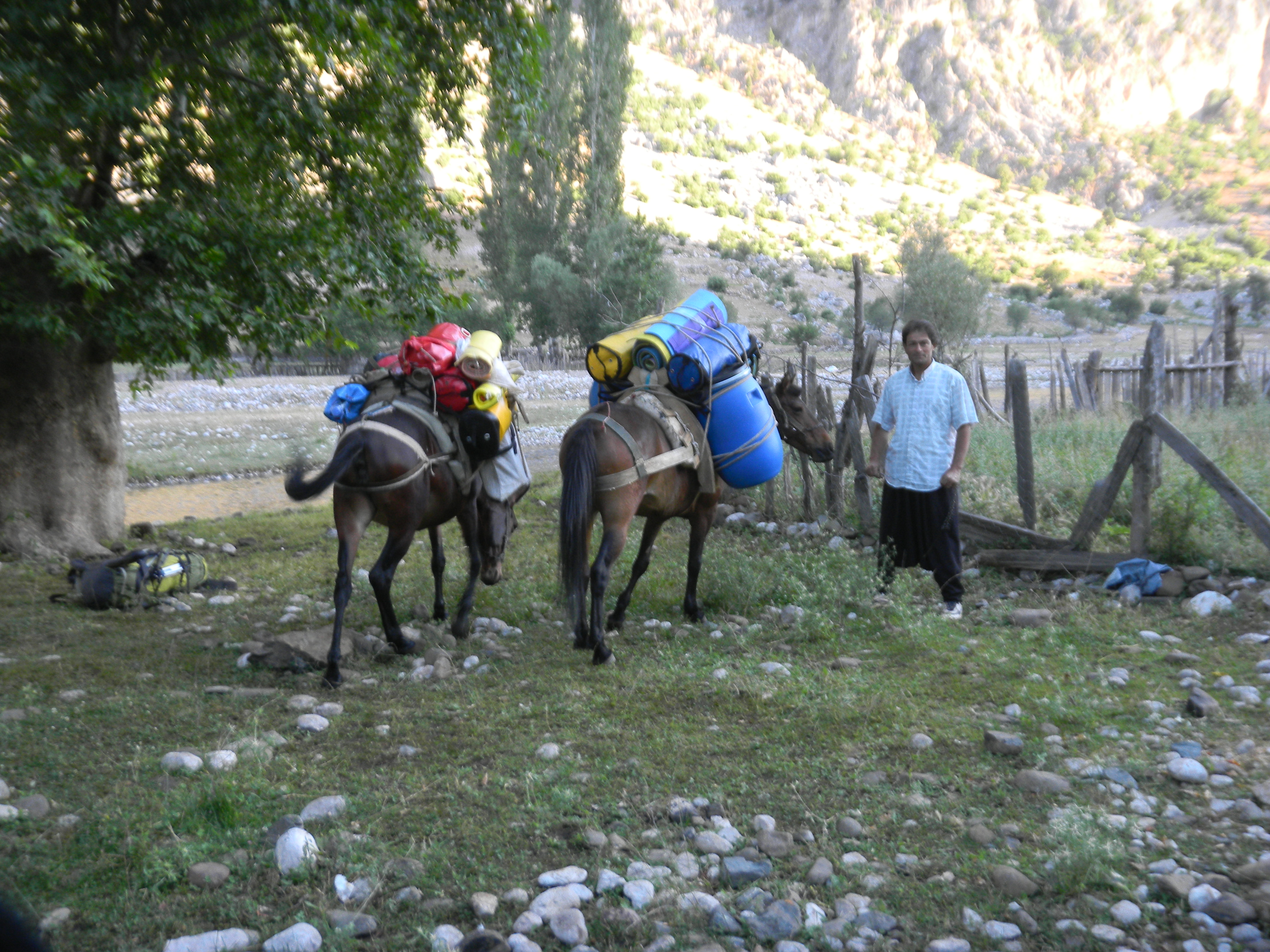 Сборы мулов в Уулупинаре для заброски снаряжения, продуктов, оборудования. Всего 7 мулов по 80 кг на каждого.