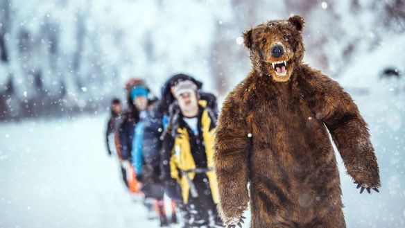 Группа профессиональны альпинистов, 2000 сибиряков и бурый медведь совершат восхождение на величайшие альпийские вершины – Маттерхорн и Монблан. Фото: alps.imsiberian.com/