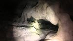 Пещера «40 лет Севастопольской спелеологии» в Байдарской долине