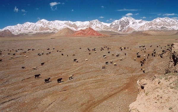 пейзажи Кыргызстана