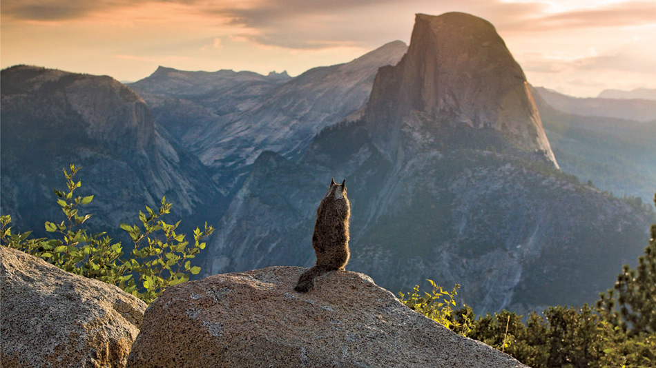 Национальный парк Йосемити, штат Калифорния, США. (Фото: Майкл Ходжес)
