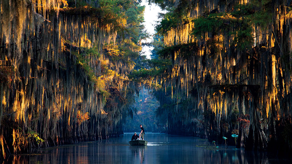 Два человека пробираются сквозь коридор из кипарисов на рассвете на озере Каддо неподалеку от границ Техаса и Луизианы, США. (Фото: Майкл Хэнсон)