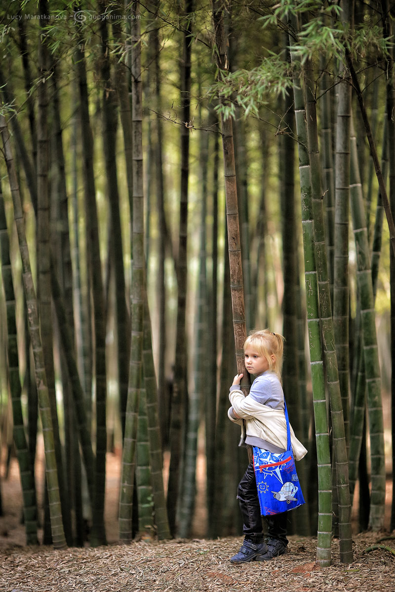 Амелия в бамбуковых зарослях. Су-Джоу, Китай (Амелии 5 лет)