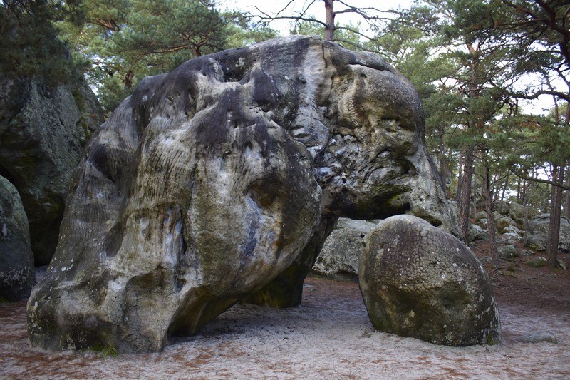 Фонтенбло (Fontainebleau) 