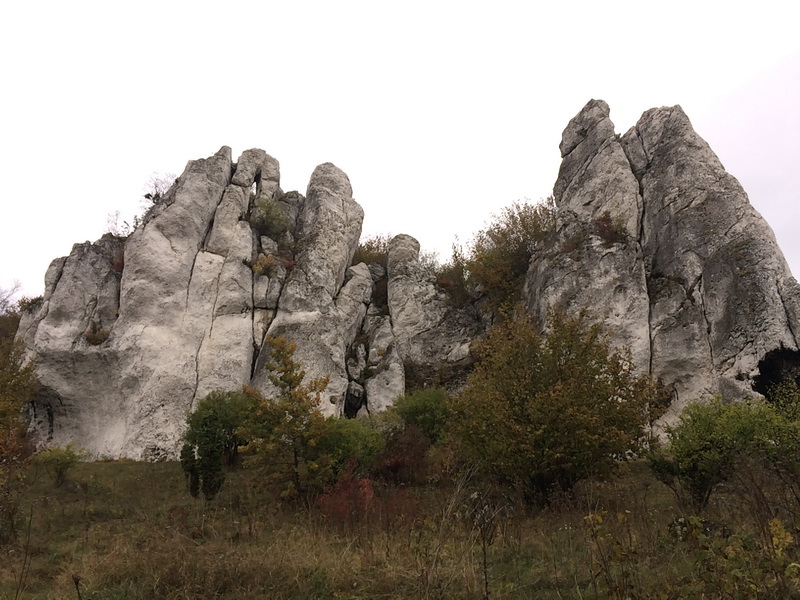 скалолазание на скалах Краковско-Ченстоховская возвышенности (или еще ее называют Польской Юрой) 