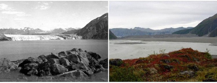 Ледник Кэрролл, Аляска. Август 1906 г. — сентябрь 2003 г.