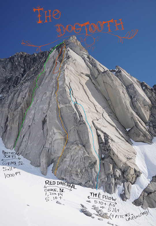 Команда сделала три попытки восхождения на пик Догтут Спайр (Dogtooth Spire) и открыла два новых маршрута: Red Dihedral (5.10+, 365м) и Birthday Jorts (5.11a, 300м).
