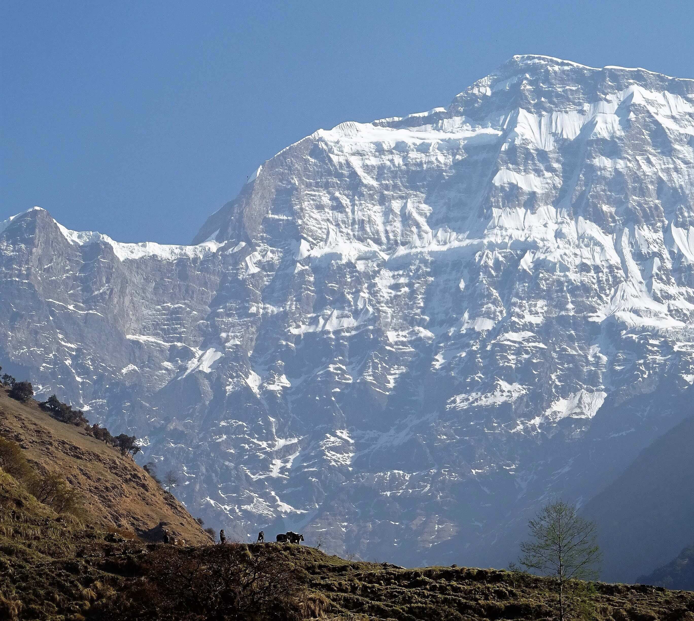  гора Гурджа (Gurja / Gurja Himal, 7193 м) потрясает своей огромной южной стороной, возвышающейся практически на 4 километра над долиной у её подножия. Фото  JOY STEPHENS