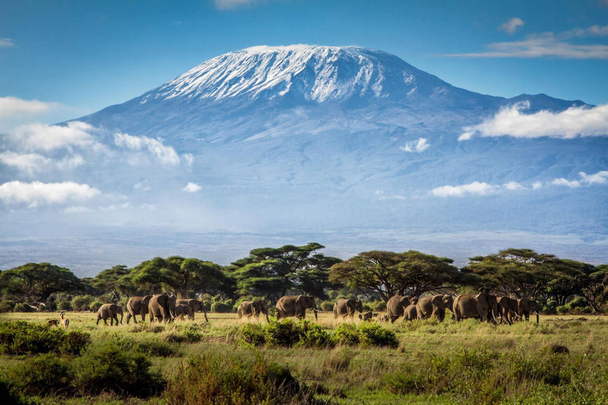 Килиманджаро (Kilimanjaro, 5895 м)