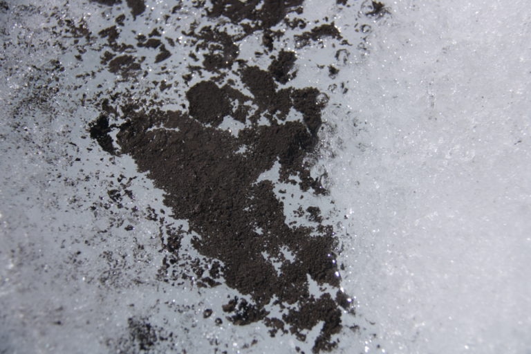Отложения криоконита на леднике. Фото Università Bicocca