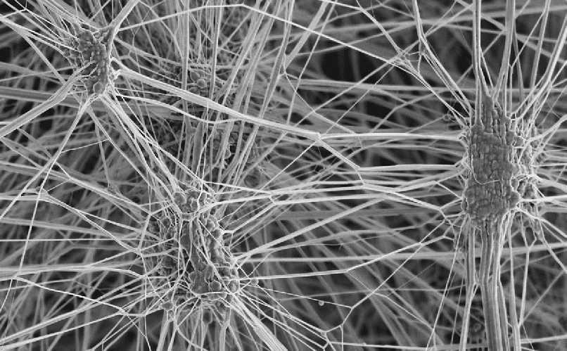 Снимок мембраны Gore-Tex под электронным микроскопом. Пространства между тончайшими волокнами полимера достаточно для прохождения водяного пара, но для воды в жидкой форме такая «живая изгородь» непроницаема. Источник фото: gore.com