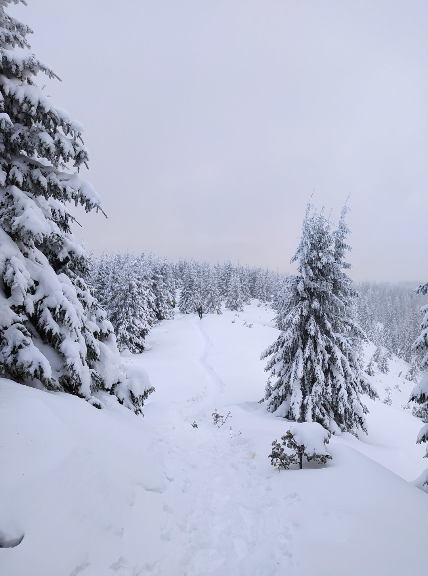 В Україні відбувся перший зимовий забіг на Говерлу: "У ПОШУКАХ ЙЄТІ". Фото Віталій Шлюпка