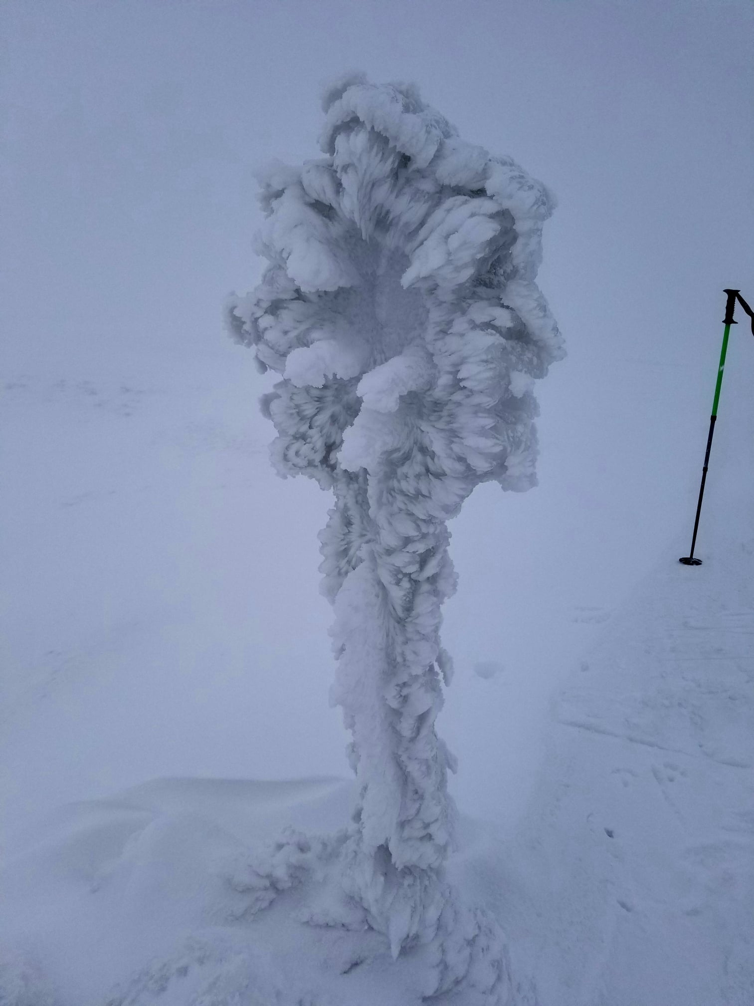 Маркировочный столбик после снегопада с ветром. Фото Евгений Чизмар