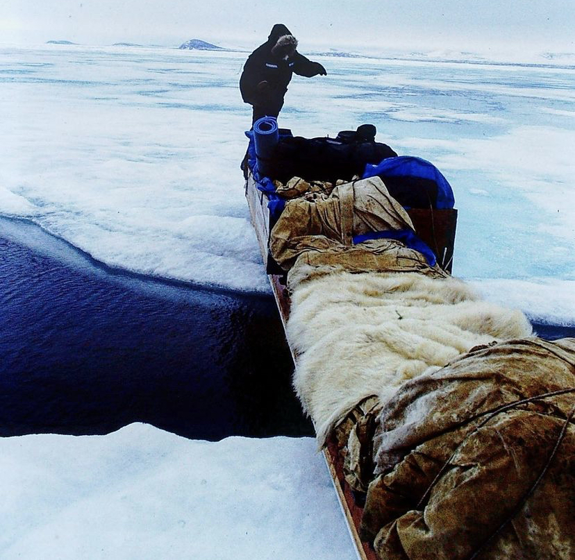 Камутики - традиционные сани, запряженные снегоходами или собачьими упряжками. В июне уже начинают формироваться выходы открытой воды в тающем морском льду. Фото: Paul Gagner