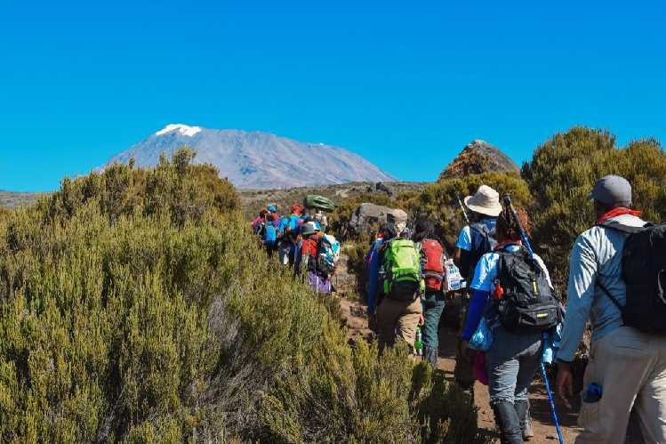 путь к Килиманджаро. Фото national-parks . org