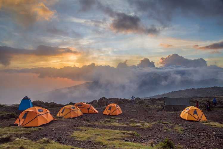 путь к Килиманджаро. Фото national-parks . org