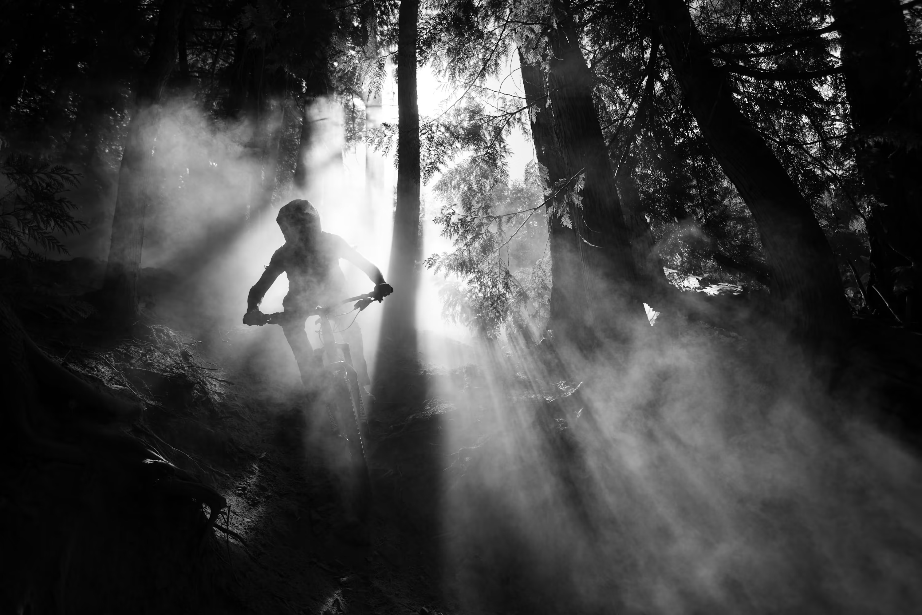 Red Bull Illume 2021. Категория "RAW" - Канадец Бруно Лонг (Bruno Long) за фото байкера,  спускающегося по грунтовой лесной тропе"