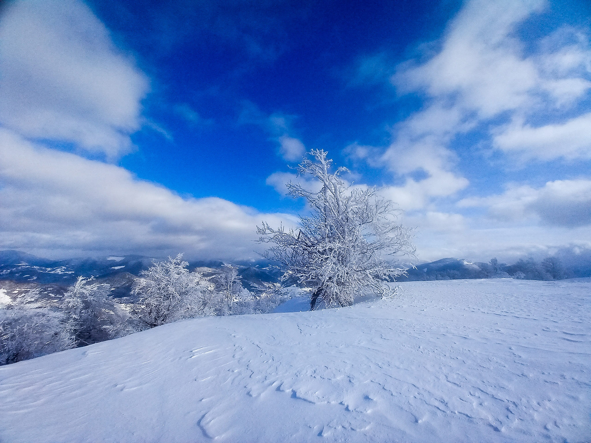 Люблю небо в горах. Воно тут особливо синє . Фото Аліна Косовська