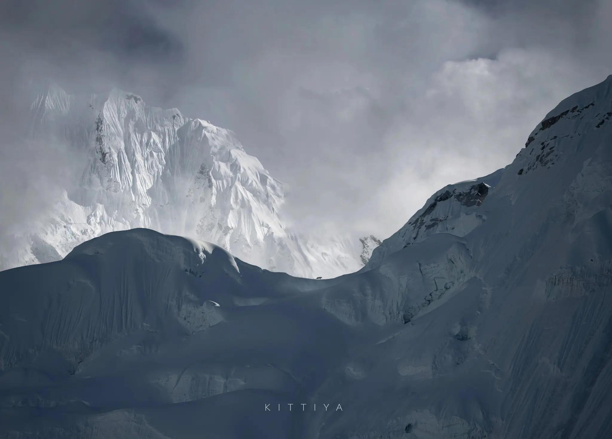 Сніговий барс у тіні гори Пуморі, Непал. Фото Kittiya Pawlowski