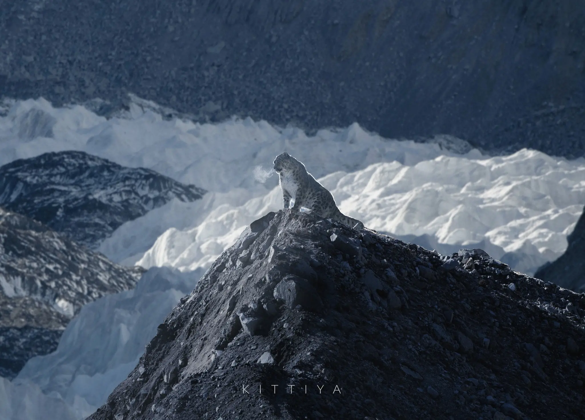 Льодовик Кхумбу, Непал. Висота 5185 метрів. Сніговий барс сидить на вершині прірви над полем льодових вершин, яке називається Алея привидів. Фото Kittiya Pawlowski