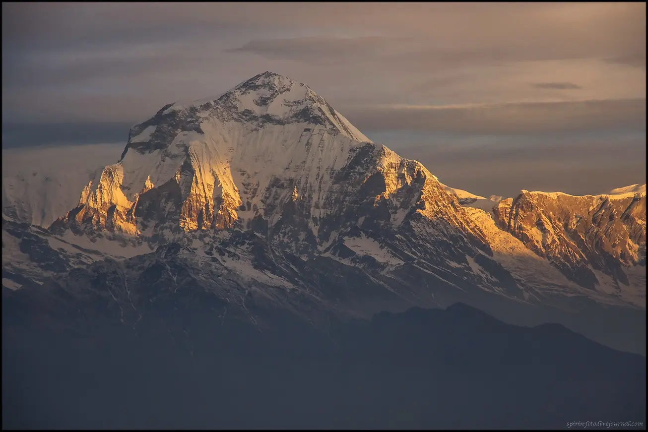 Дхаулагірі (Dhaulagiri, 8167 м) на світанку. Фото з трекінгу до базового табору Ананпурни. Фото Kirill Spirin