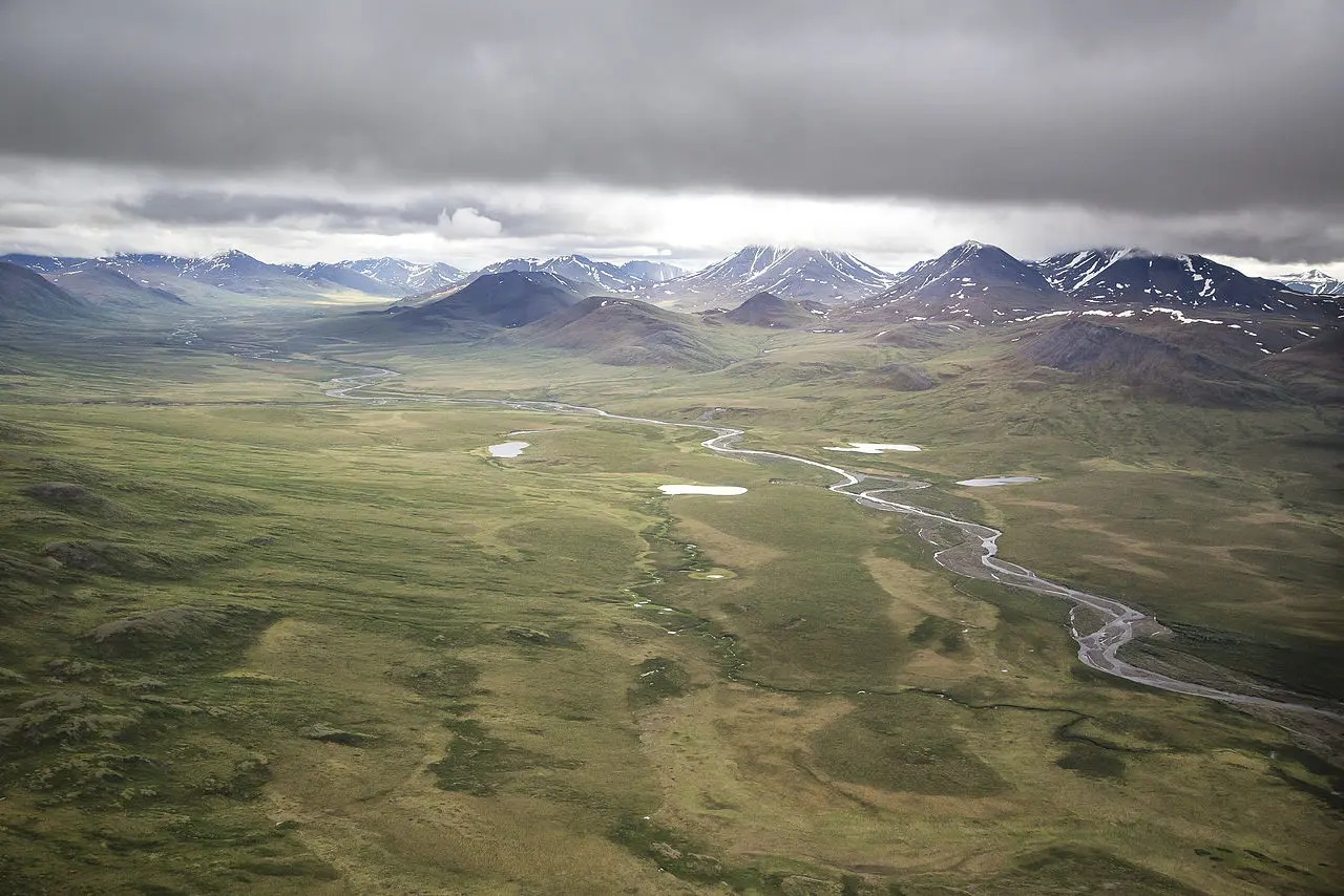 безлюдний ландшафт арктичної тундри на Алясці